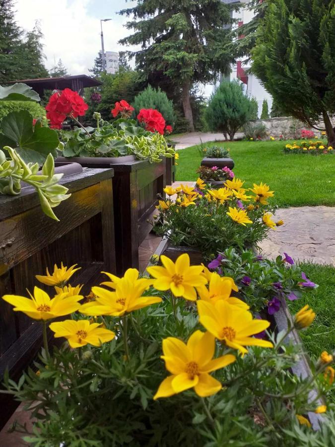 Apartmani Jokic Zlatibor Zewnętrze zdjęcie